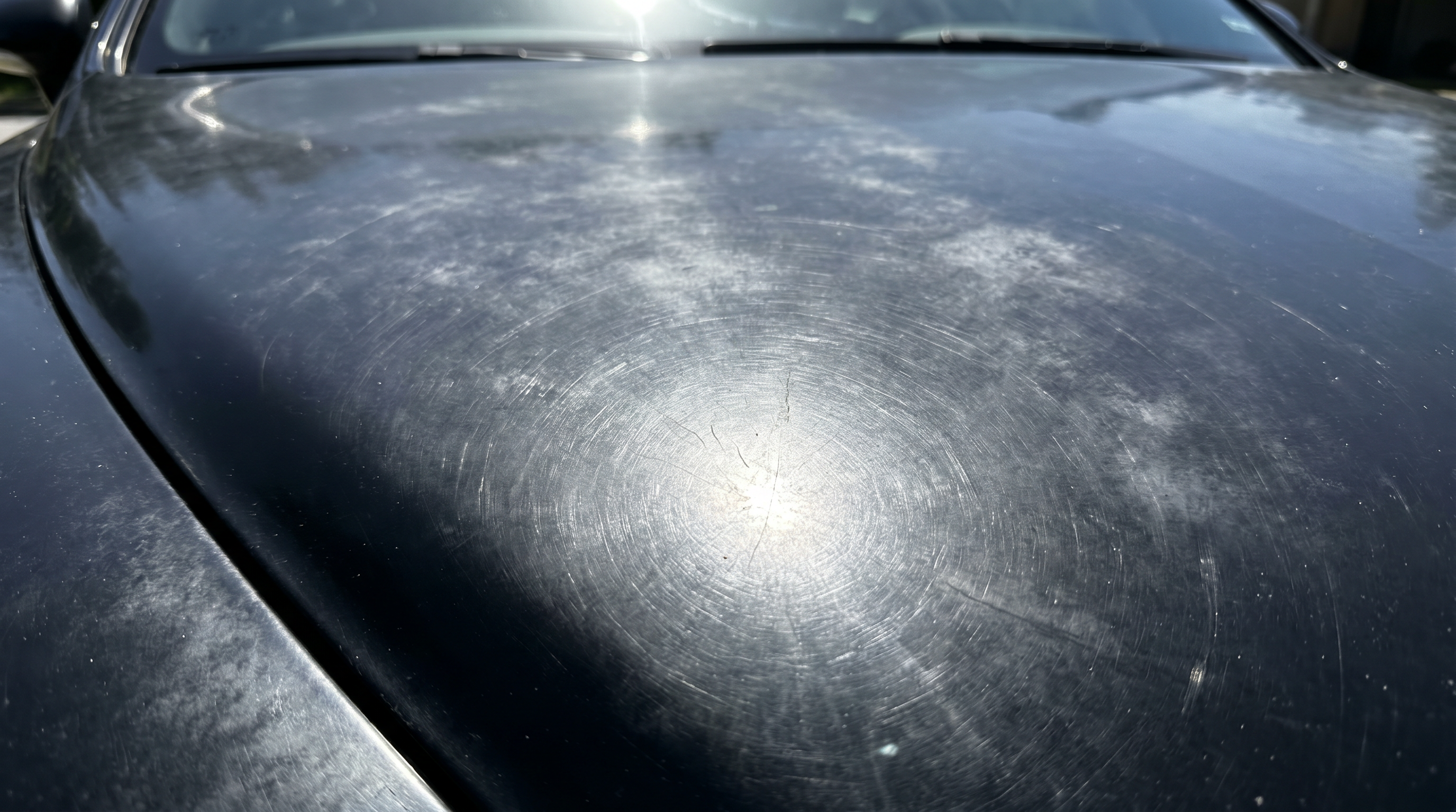 Black hood in direct sun covered in swirl marks and wash marring before paint correction