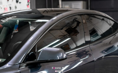 Cool Comfort: The Benefits and Selection Guide for Heat Reduction Window Films