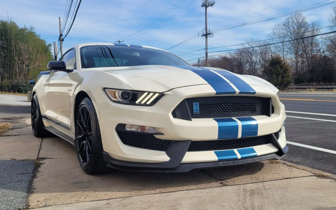 White Shelby GT350 Ceramic Coating & PPF