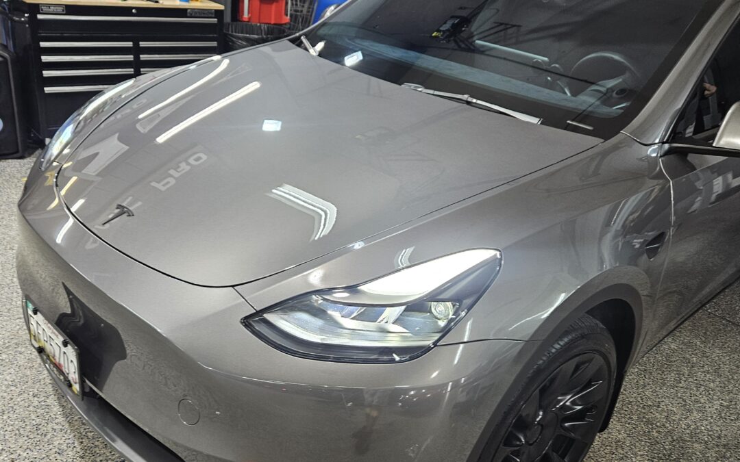 2023 Tesla Model Y white PPF