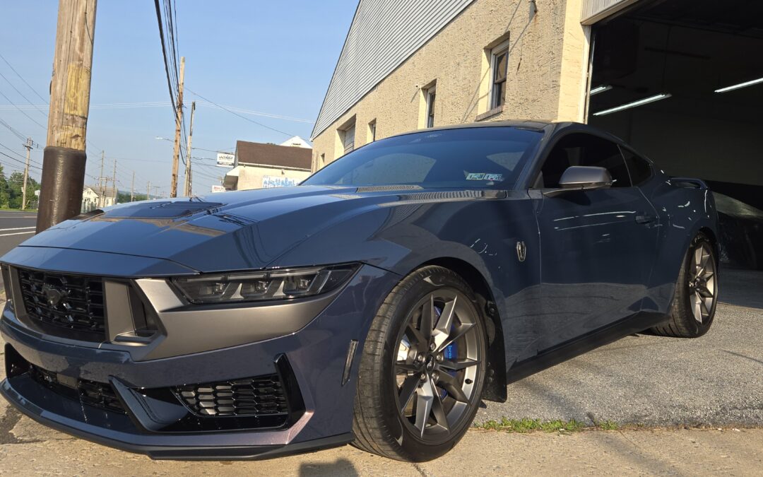 Blue Dark Horse Mustang Ceramic Coating, PPF & Window Tint